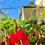 Sainte Marie Apartmán Narbonne
