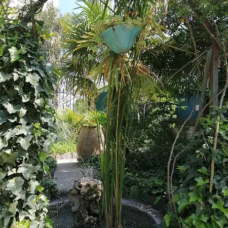 Sainte Marie Narbonne