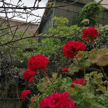 Sainte Marie Apartment Narbonne
